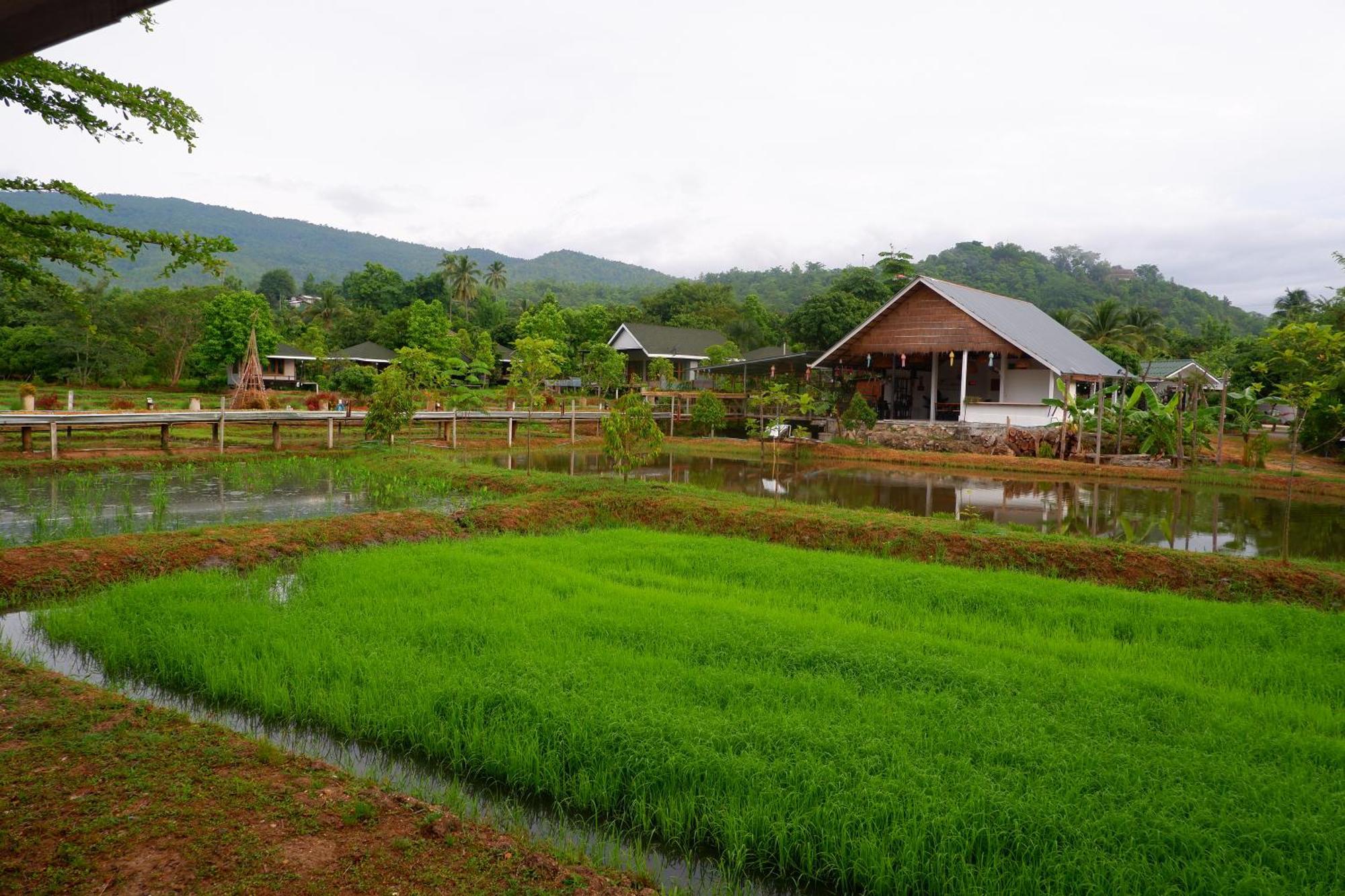 Nok Chan Mee Na Chom Thong Exterior photo