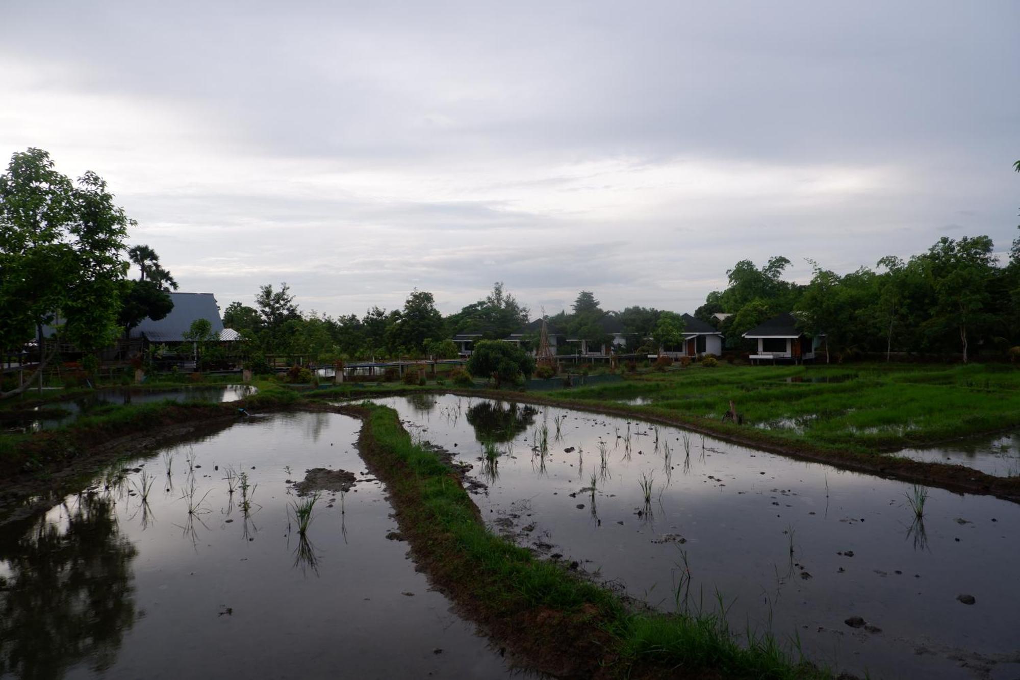 Nok Chan Mee Na Chom Thong Exterior photo