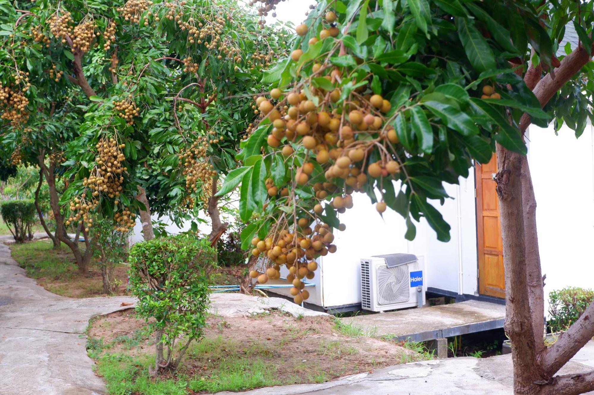 Nok Chan Mee Na Chom Thong Exterior photo