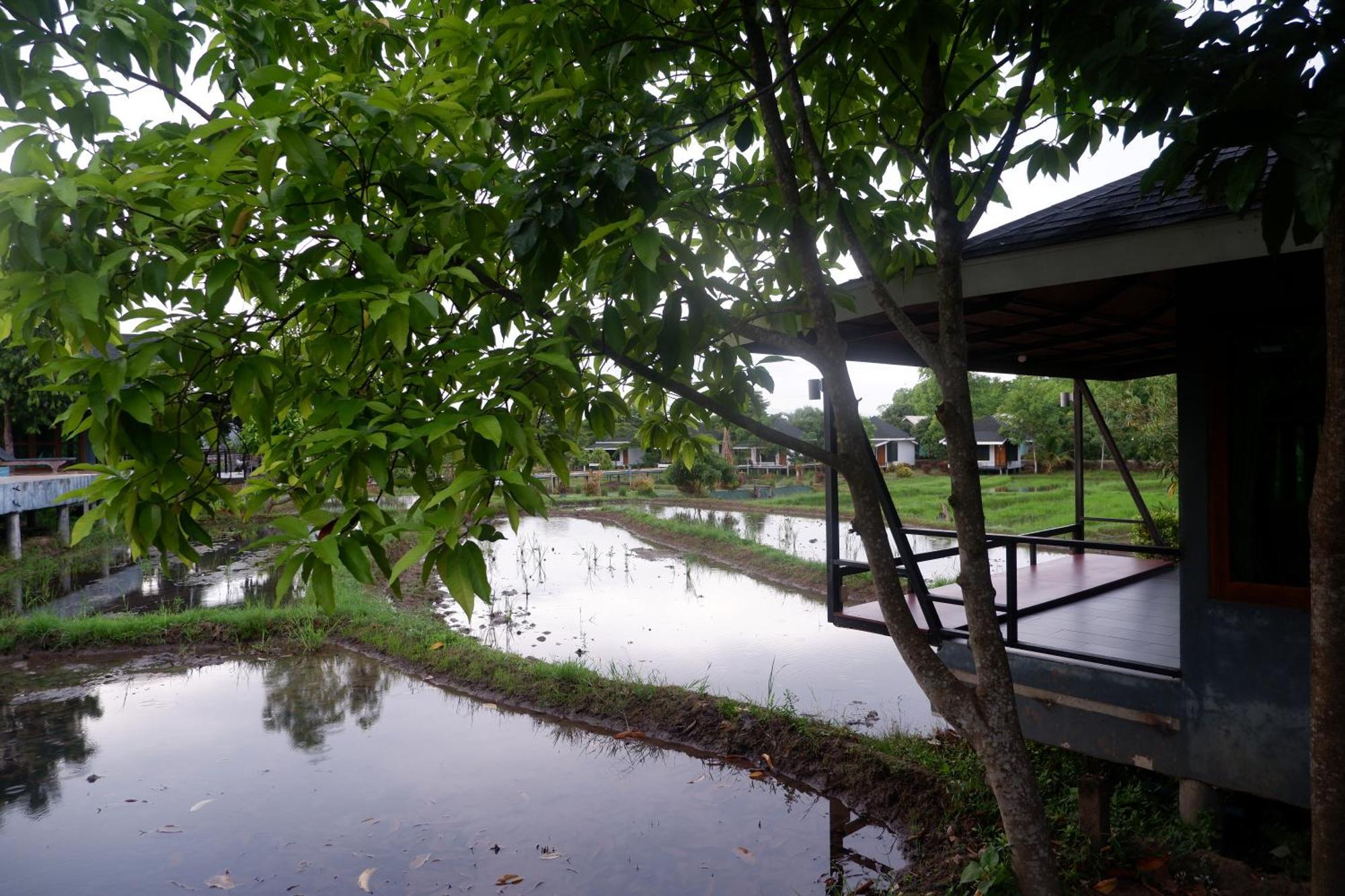 Nok Chan Mee Na Chom Thong Exterior photo