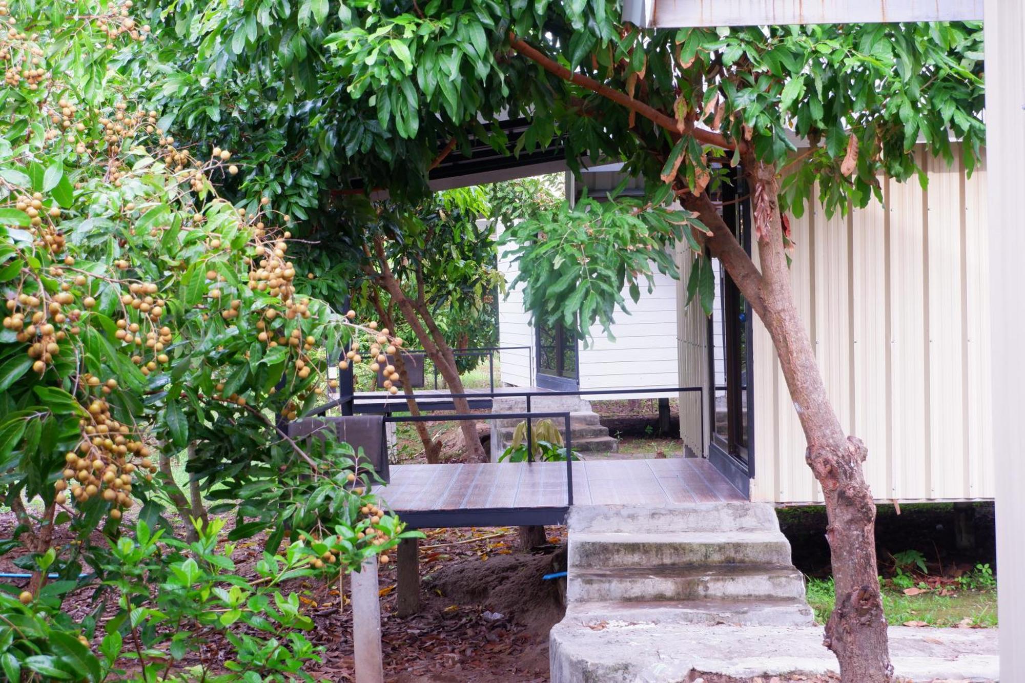 Nok Chan Mee Na Chom Thong Exterior photo