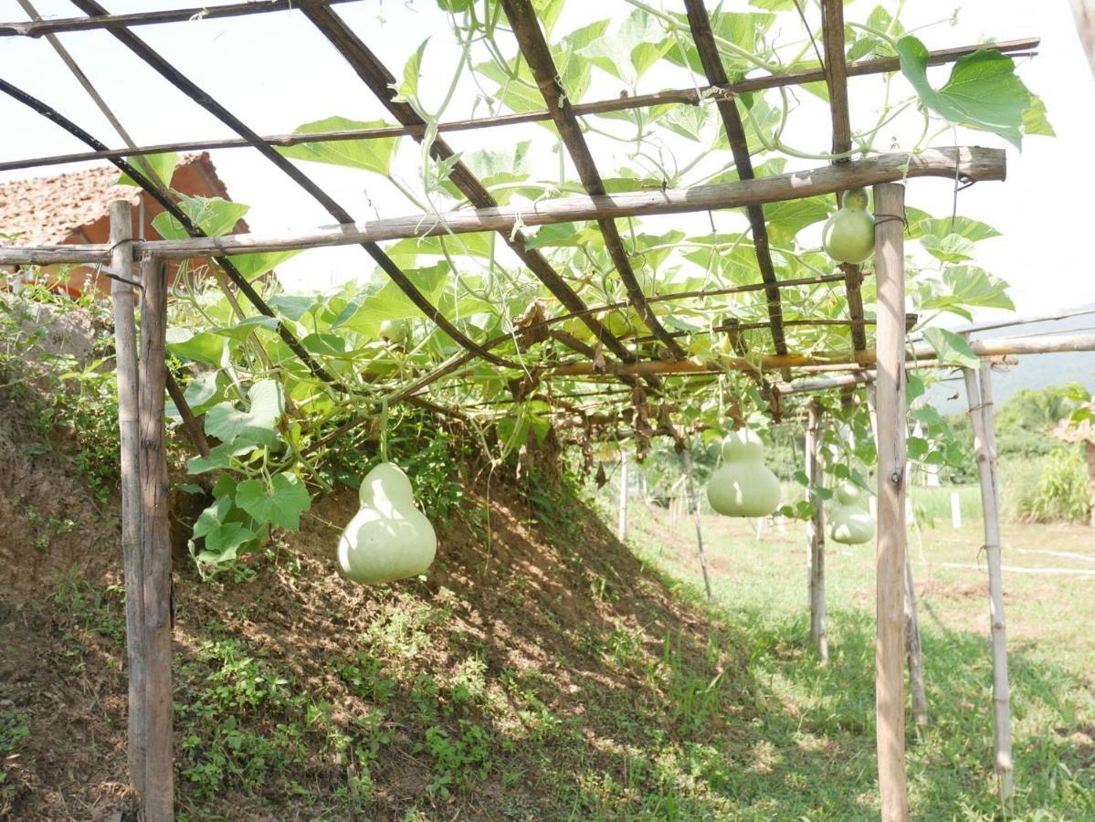 Nok Chan Mee Na Chom Thong Exterior photo